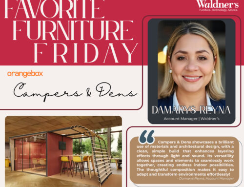 Favorite Furniture Friday with Damarys Reyna